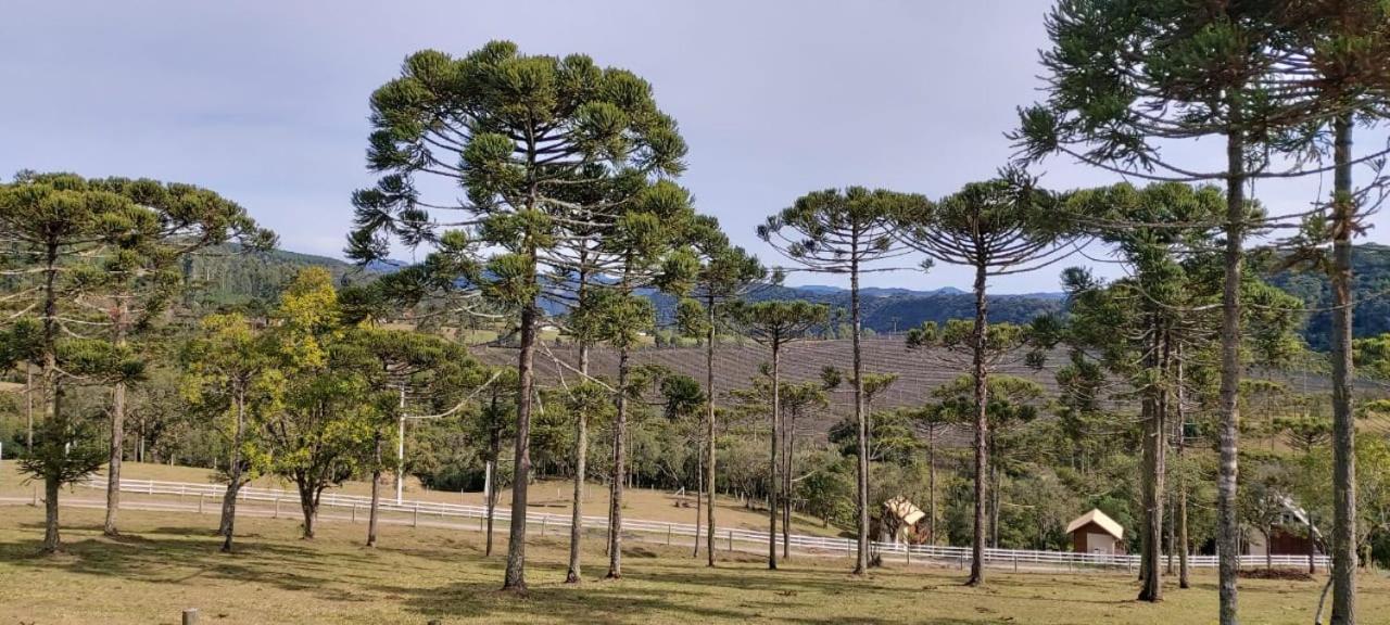 Chalé Bienz - Hospedagem Rural Urubici Kültér fotó